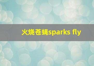 火烧苍蝇sparks fly